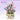 Loz - Tulip