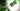 Switch 2 Sonic X Shadow Generations
