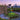 PS4 Minecraft Legends - Deluxe Edition
