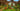 Switch Paw Patrol: Dino World