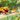 Switch Super Mario Party Jamboree