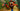 Switch Crash Bandicoot N. Sane Trilogy