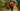 PS4 Crash Bandicoot N. Sane Trilogy 2.0