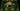 Switch The Legend of Zelda: Link`s Awakening