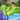 Bazen za decu Bestway Fantastic Aquarium Interaktivni vodeni park/2.39x2.06x0.86m