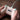 Gamepad 8BitDo Ultimate 2C Windows/Android/Hall Effect/Vibracija/typeC/Mint Edition