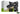 VGA Zotac RTX 5050 Twin Edge 8GB, ZT-B50500H-10M