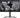 Monitor 27" Iiyama GOB2701QSC-B1 IPS OLED 2560x1440/280Hz/0.03ms/HDMI/DP/pivot